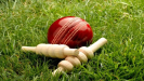 animationcricketballbails.jpg