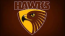 animationhawthornfc.jpg